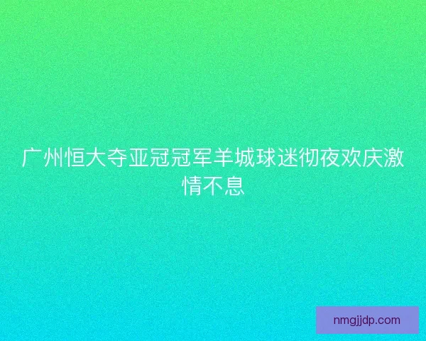 广州恒大夺亚冠冠军羊城球迷彻夜欢庆激情不息