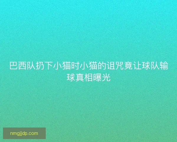 巴西队扔下小猫时小猫的诅咒竟让球队输球真相曝光